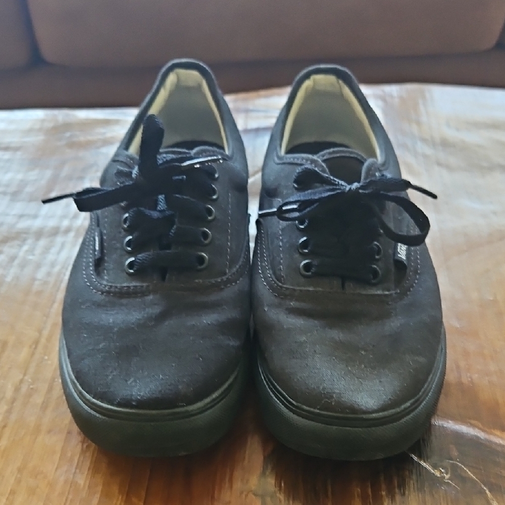 Vans Black Classic Skate Sneakers